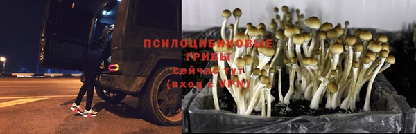 прущий лед Алзамай