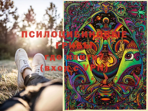 прущий лед Алзамай