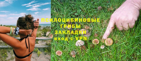 прущий лед Алзамай