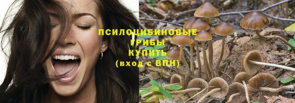 первитин Нягань