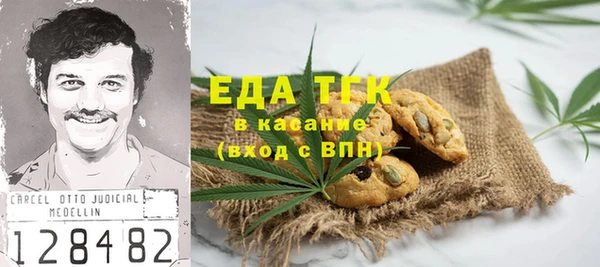 прущий лед Алзамай