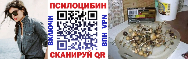 Галлюциногенные грибы Psilocybine cubensis  купить   Крым 